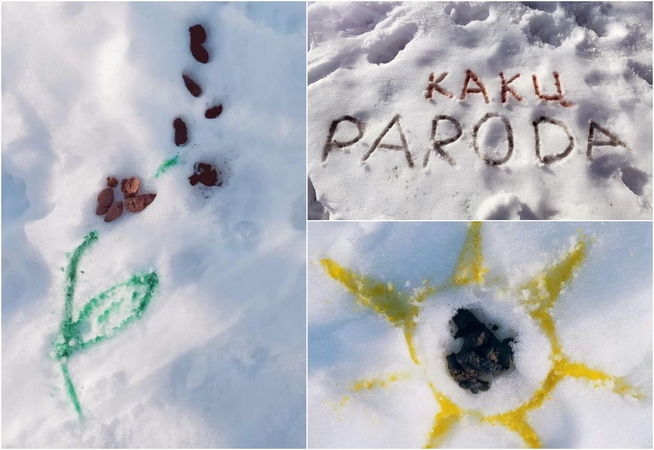Neatsakingas keturkojų šeimininkų elgesys įkvėpė atidaryti parodą „Kakalų pavasaris“