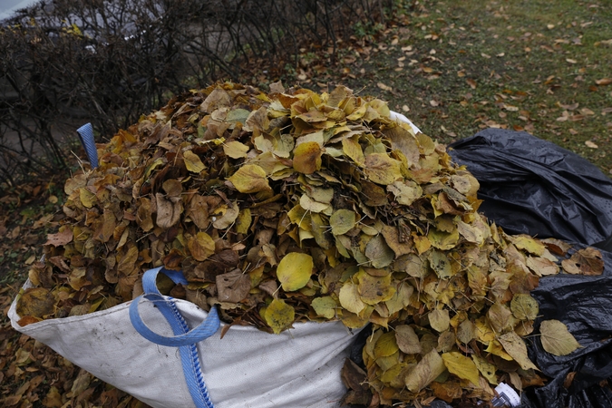 Aplinkosaugininkai primena: tinkamiausias žaliųjų sodo ir daržo atliekų tvarkymas – kompostavimas