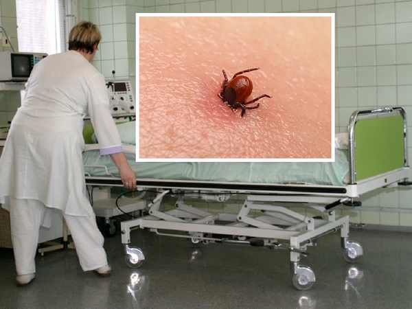 Kauno apskrityje – pirmasis mirties nuo erkinio encefalito atvejis šiais metais