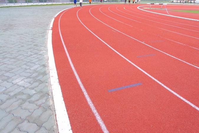 Sudaryta darbo grupė, peržiūrėsianti sportininkų rengimo sistemą