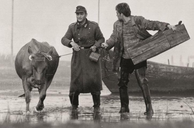 Geriausiu lietuvišku filmu įvertintas „Jausmai" prikeltas antram gyvenimui