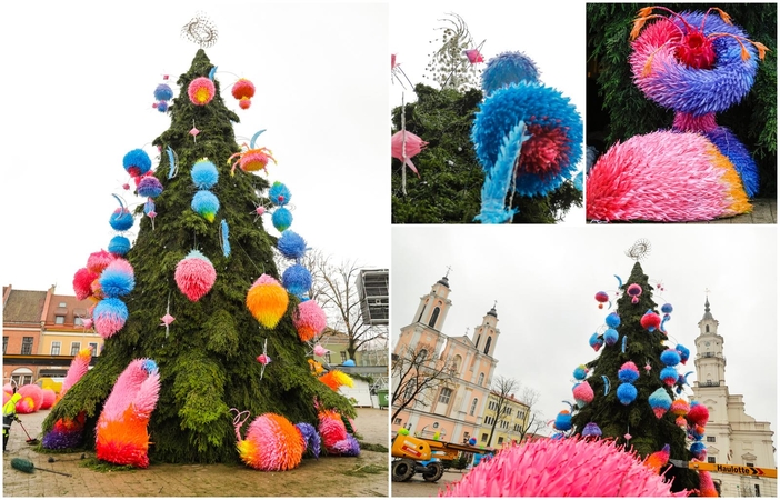 Prieš įžiebimą: ant pagrindinės Kauno eglės dėliojami paskutiniai akcentai!