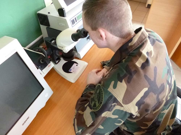 Į areštinę pakliuvo vyrai, bandę prakišti dokumentų klastotes