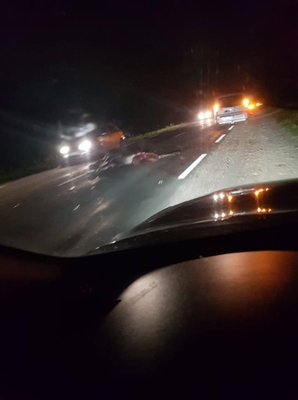 Prienų rajone vairuotojams kelią pastojo netikėta kliūtis
