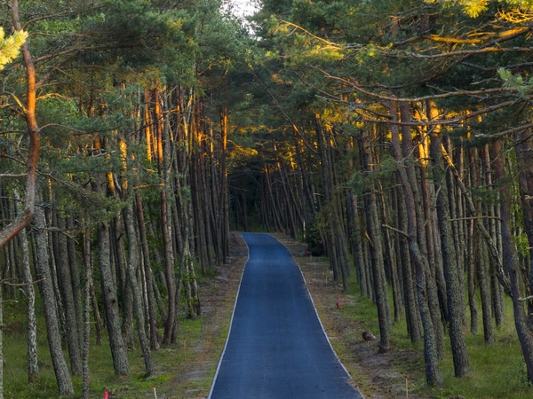 Miškų urėdija skelbia stabdanti kirtimus „Natura 2000“ teritorijose