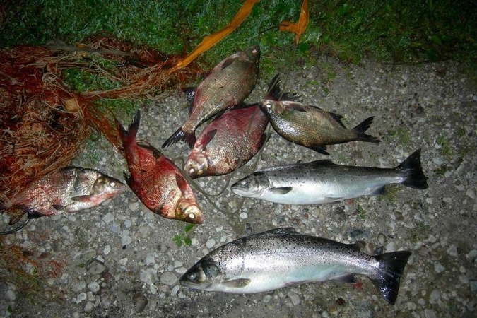 Asociatyvi nuotr.