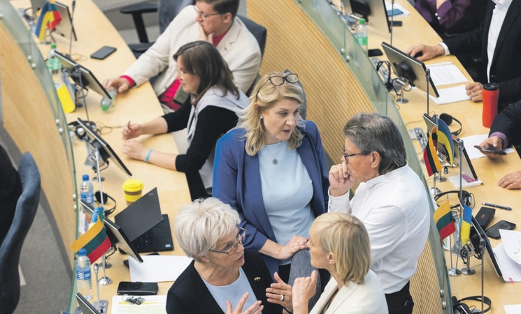 Vertybės: kalbant apie tautines mažumas, į vertybes ir moralę apeliuojama kas ketvirtame pasisakyme, o ekonominėmis temomis – tik kas dvidešimtame. Daugiausia moralizuoja Liberalų sąjūdis, o mažiausiai – socialdemokratai.