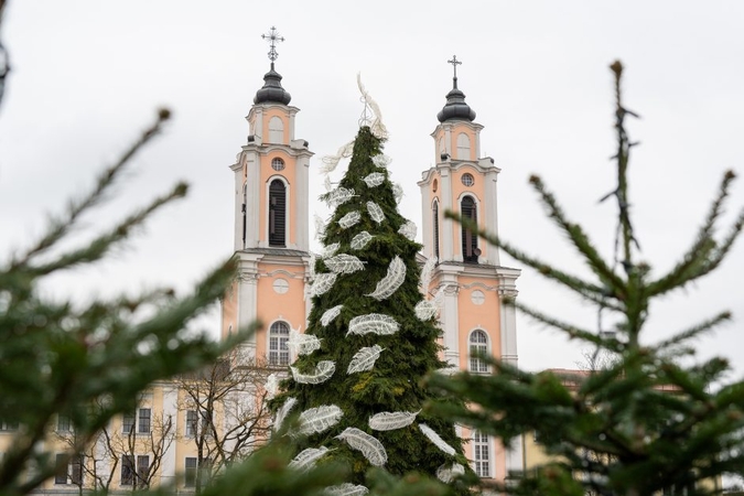 Labai svarbi žinia! Kaunas kviečia prisidėti prie Kalėdų stebuklo – ieško eglės