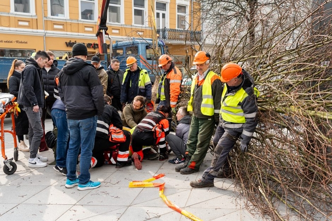 Laisvės alėjoje ant darbininko nuvirto liepa: naujausia informacija iš VDI