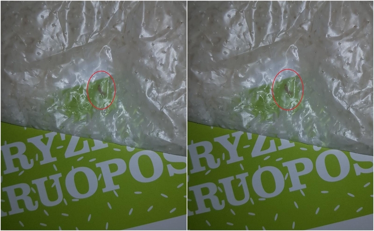 Pasišlykštėjo maistu nepasiturintiems: būčiau pagaminusi plovą su kirmėlėmis
