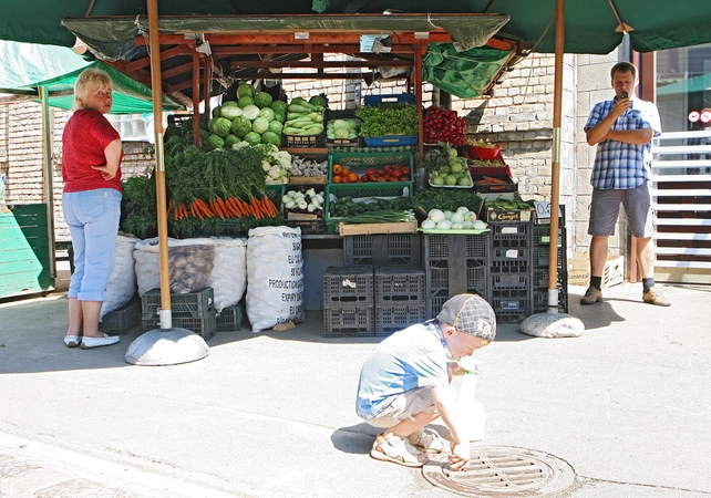 Pinigai: mūsų daržininkai tvirtina, kad, trūkstant daržovių Lenkijoje, jų kaina šokteli ir susilygina su lietuviškos produkcijos.