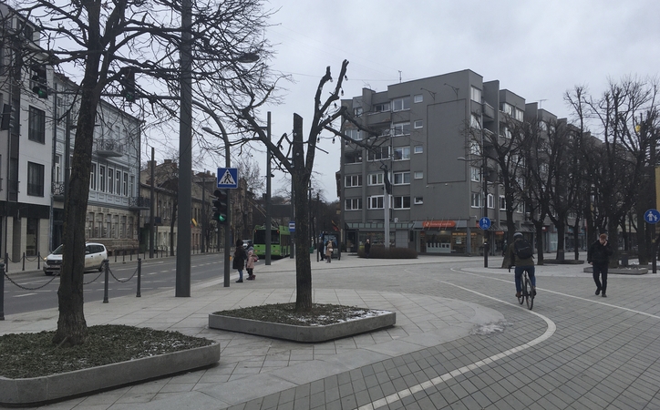 Šokiravo nugenėta Laisvės alėjos liepa: tiesiog išprievartavo medį