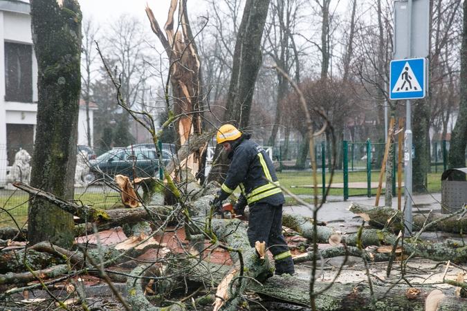 Mokslininkai įvertino žiemos audrų mastą: keturių iš eilės stichijų nebuvo 150 metų