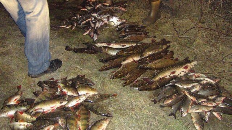 Už pagautas žuvis brakonieriai turės sumokėti 60 tūkst. litų