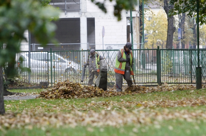 Lapų grėbikams – miestiečių kritikos strėlės