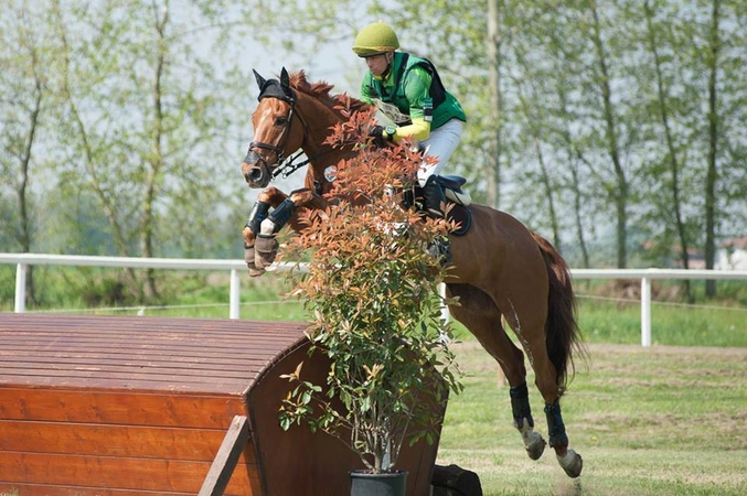 Trikovės raitelis A. Vitkauskas – apie sportą, iššūkius ir ambicingus ateities planus