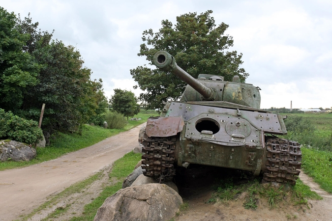 Bandymai nupirkti Orvidų sodybą nebuvo sėkmingi