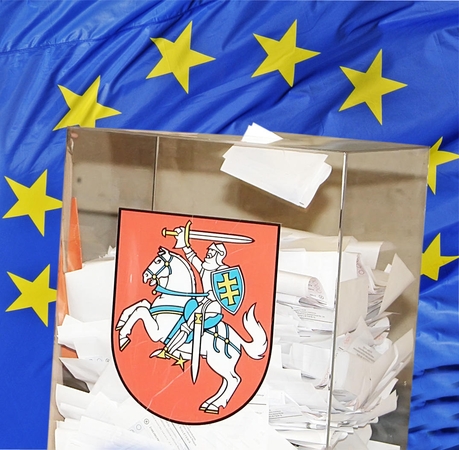 Prognozė: nors rinkimuose į Europos Parlamentą bus galima balsuoti ir už klaipėdiečius politikus, vargiai tikėtina, kad bent kelis jų žmonės išrinks atstovauti Lietuvai.