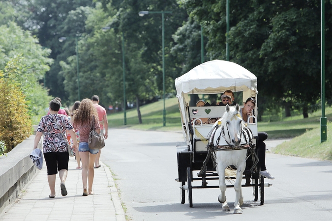 Stagnacija: tarp norinčiųjų vasarą teikti pavėžėjimo paslaugas karietomis naujų verslininkų neatsiranda.