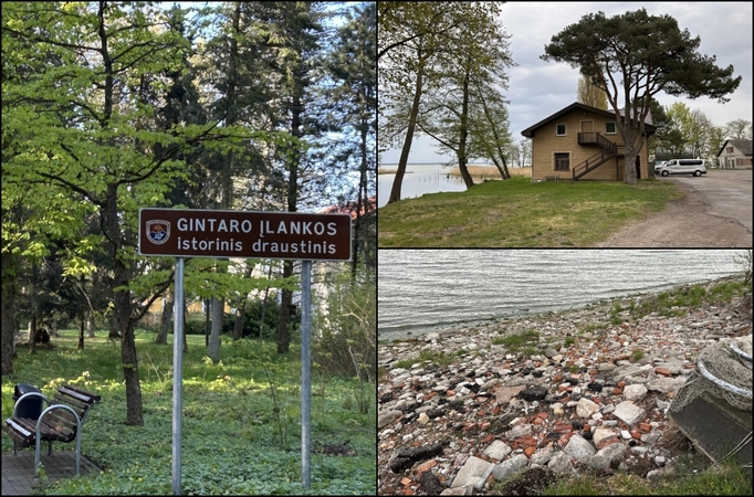 Po žinios apie siaubingą vaizdą ant Kuršių marių kranto – neplaninis patikrinimas