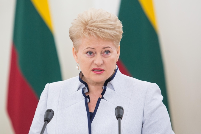 D. Grybauskaitė ragina sparčiau kurti integruotą Europos energetikos tinklą