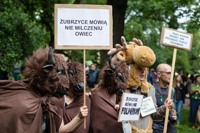 Lenkijos aktyvistai protestuoja dėl kertamos Belovežo sengirės