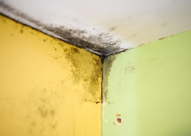 Vandentiekiu privalo rūpintis būstų savininkai