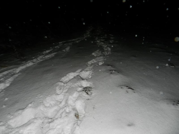Gruzinus pasieniečiai vijosi 4 kilometrus 