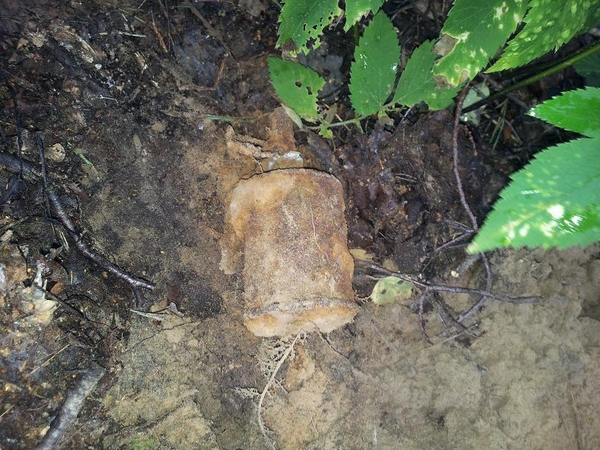 Pasienyje su Rusija aptikta karo laikų granata