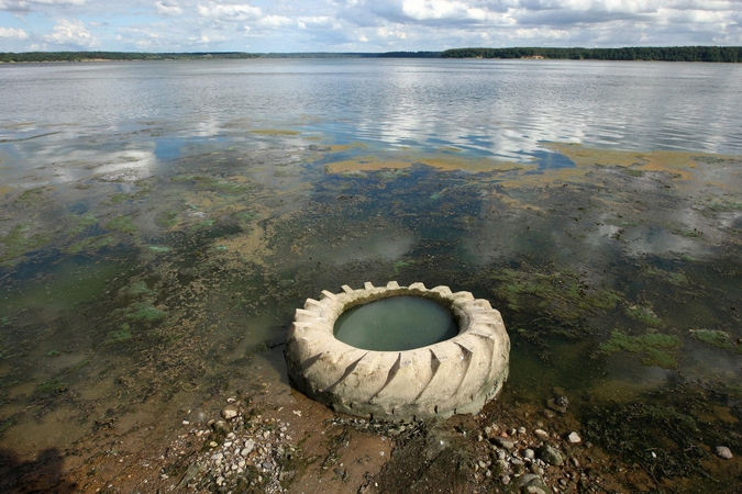 Šiukšles rinks ir narai