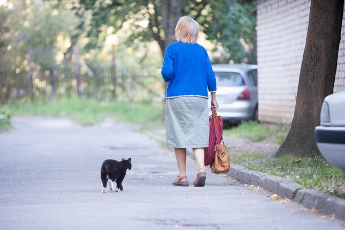 Ar ilgam atšauktas privalomas gyvūnų ženklinimas?