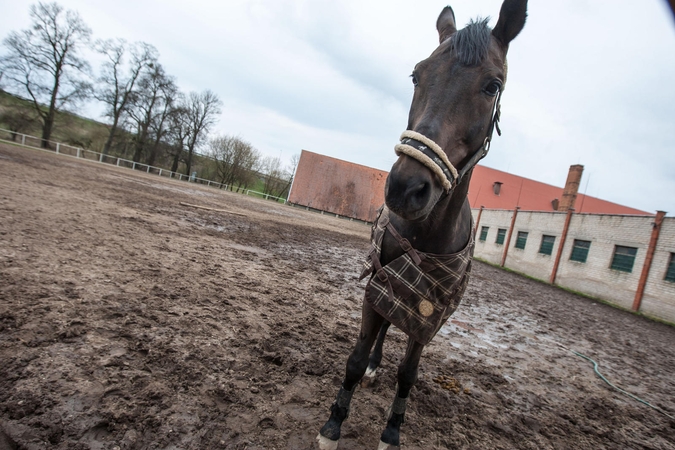 Koks likimas laukia seniausio Kauno žirgyno?