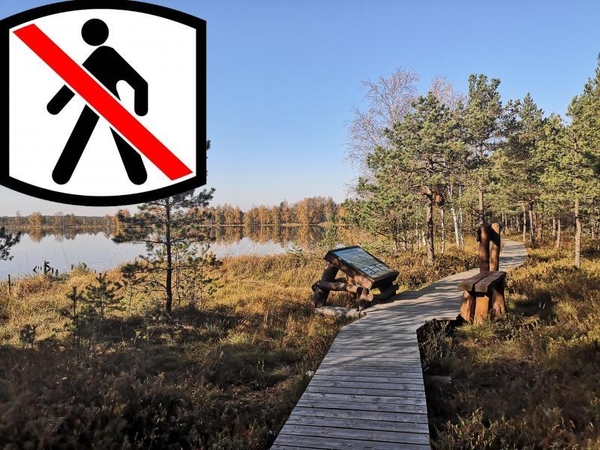 Stabdomas Mūšos tyrelio pažintinio tako lankymas