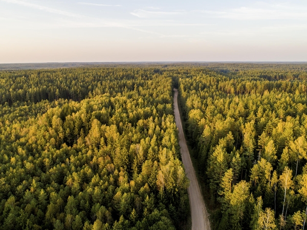 Šiemet miško keliams remontuoti – daugiau kaip 4 mln. eurų