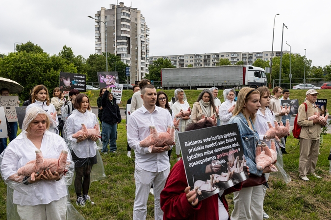Prie Veterinarijos tarnybos – dar vienas „Tuščių narvų“ protestas