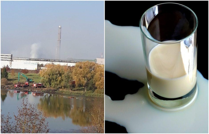 Pieną tiekti jau gali daugiau nei 60 Alytaus rajono ūkių