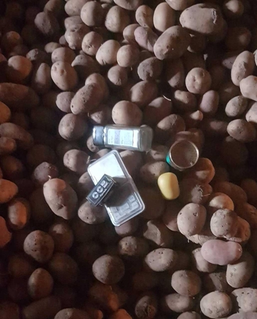 Narkotikus „užkonservavo“ pipiruose ir paslėpė bulvėse