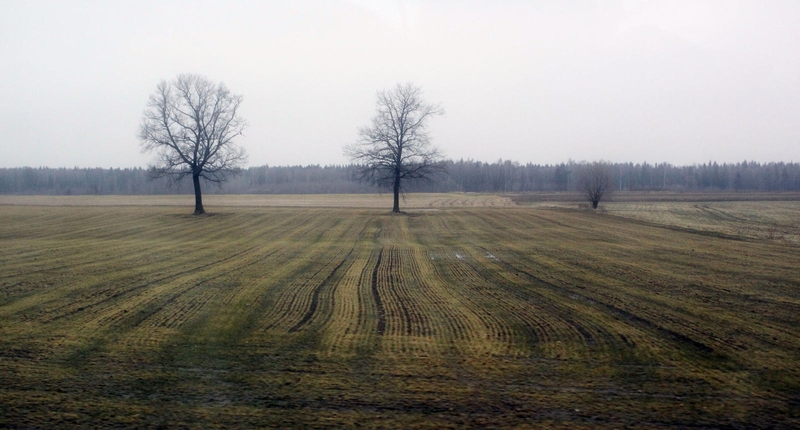 Prasideda pasėlių deklaravimas: ką svarbu žinoti?