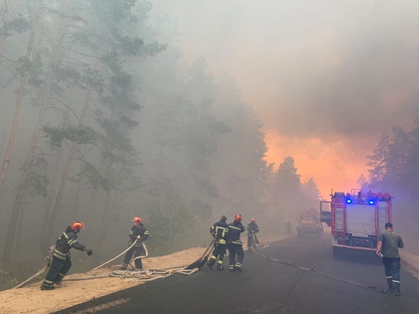 Ukrainos rytuose miško gaisras supleškino 110 namų, žuvo penki žmonės