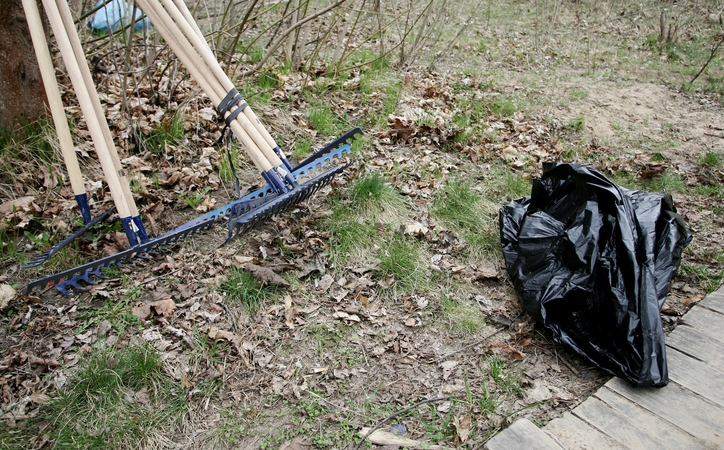 Kelininkai: nenorėtumėte žinoti, kokių atliekų randame pakelėse  