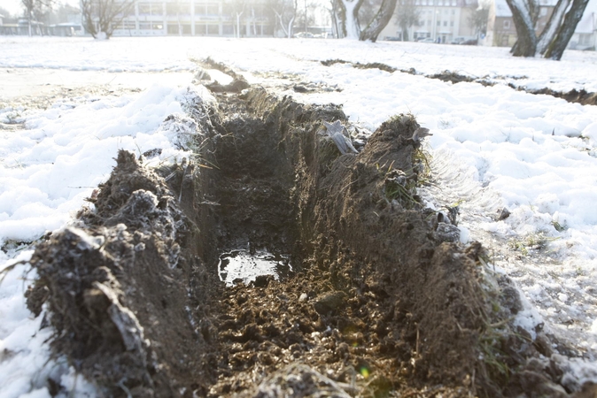 Trinyčių parko pievelė virto suartu lauku