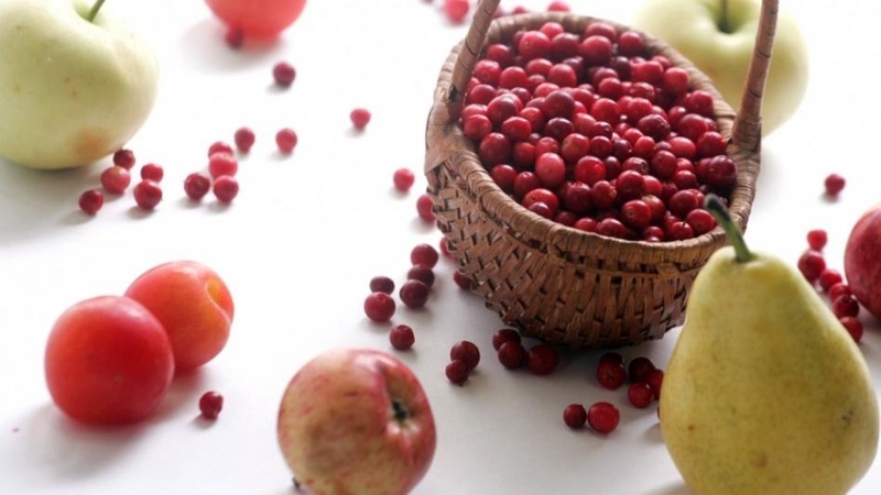 Vitaminų pusiausvyrą organizme galima atkurti ir be papildų