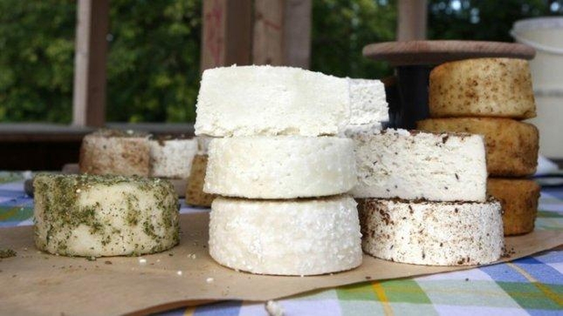 Vokiečiai apie lietuviškus pieno produktus: jie saugūs
