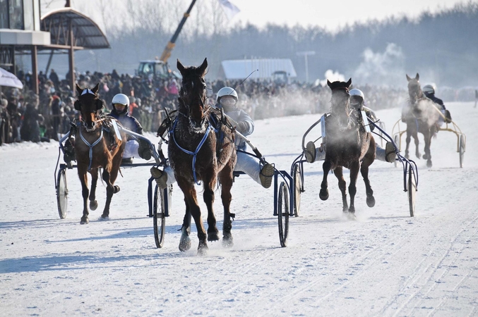 Vasaris prasidės tradicinėmis žirgų lenktynėmis Sartuose