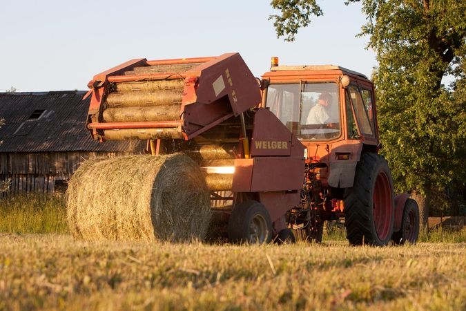 Lietuvos ūkininkams – 13 mln. litų daugiau tiesioginių išmokų