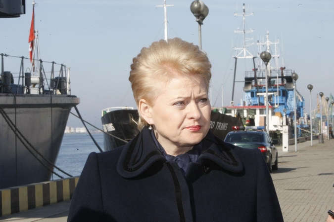 LR prezidentė: mūsų Karinių jūrų pajėgų parengtis yra pakankama