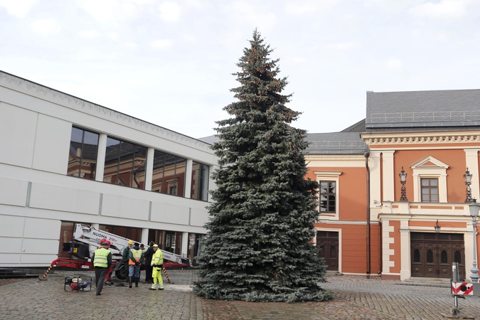 Klaipėdos žaliaskarė atkeliavo į Teatro aikštę