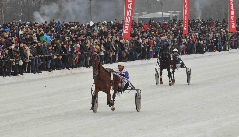 Vasario 3-ąją Dusetose – ne vien žirginio sporto entuziastų šventė