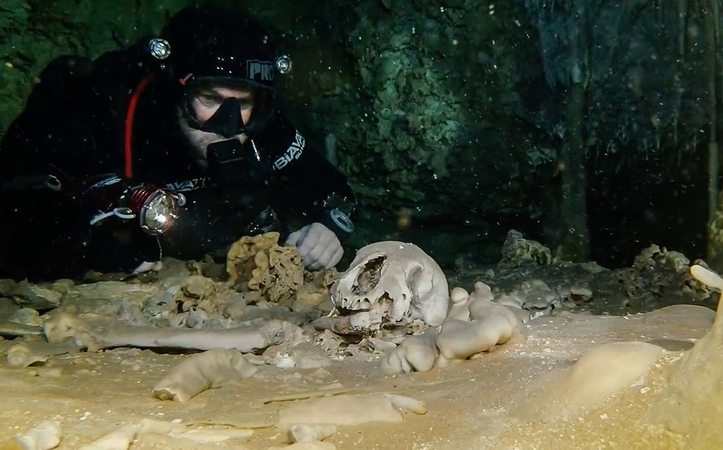 Meksikoje povandeniniame urve archeologai aptiko fosilijų ir majų relikvijų