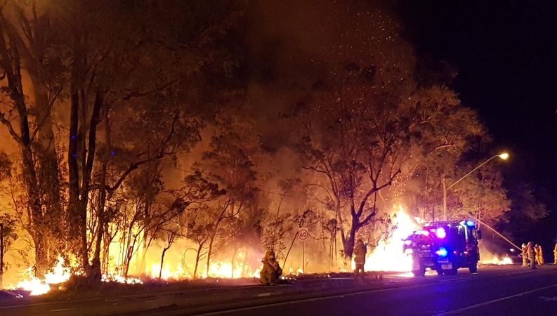 Sidnėjaus apylinkėse siaučia didžiulis krūmynų gaisras